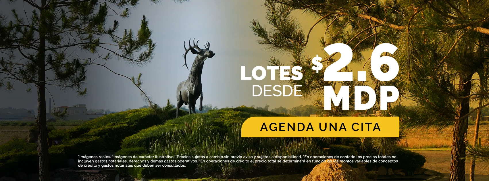 Agenda tu visita
